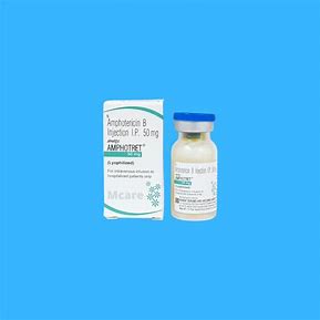 Amphotericin